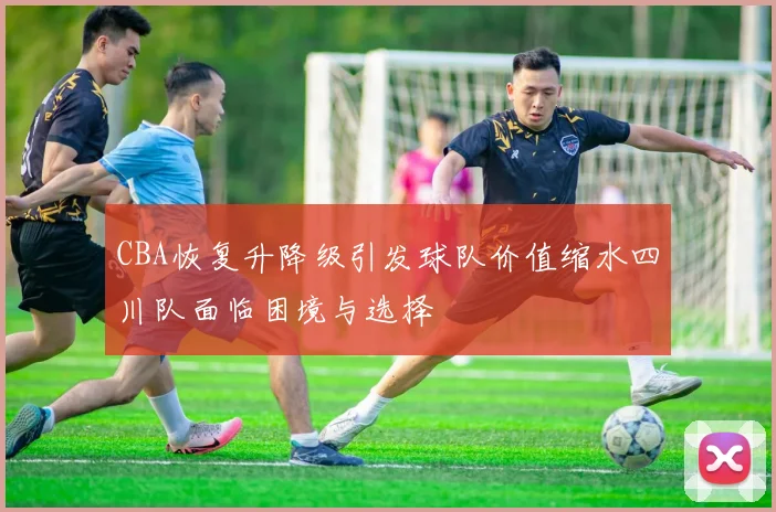 CBA恢复升降级引发球队价值缩水四川队面临困境与选择